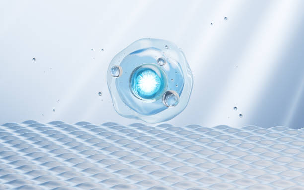 Microscopic concept of cellular hydration